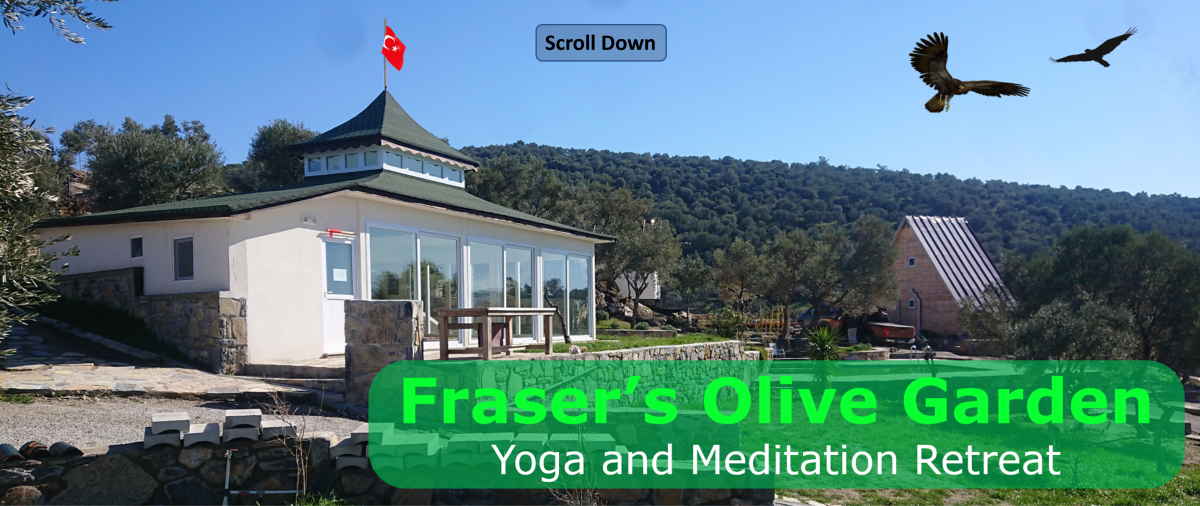 Fraser's Olive Garden Retreat - Banner